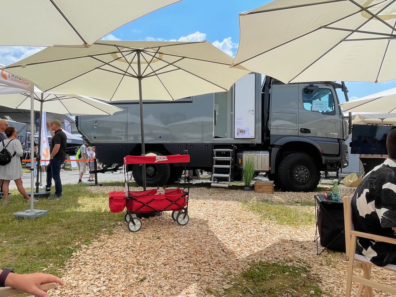 Lou im Wagen
