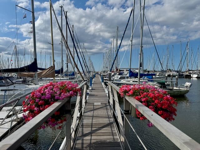 Steg mit Blumen