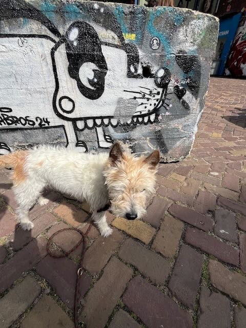 Lou hat passende Kunst gefunden