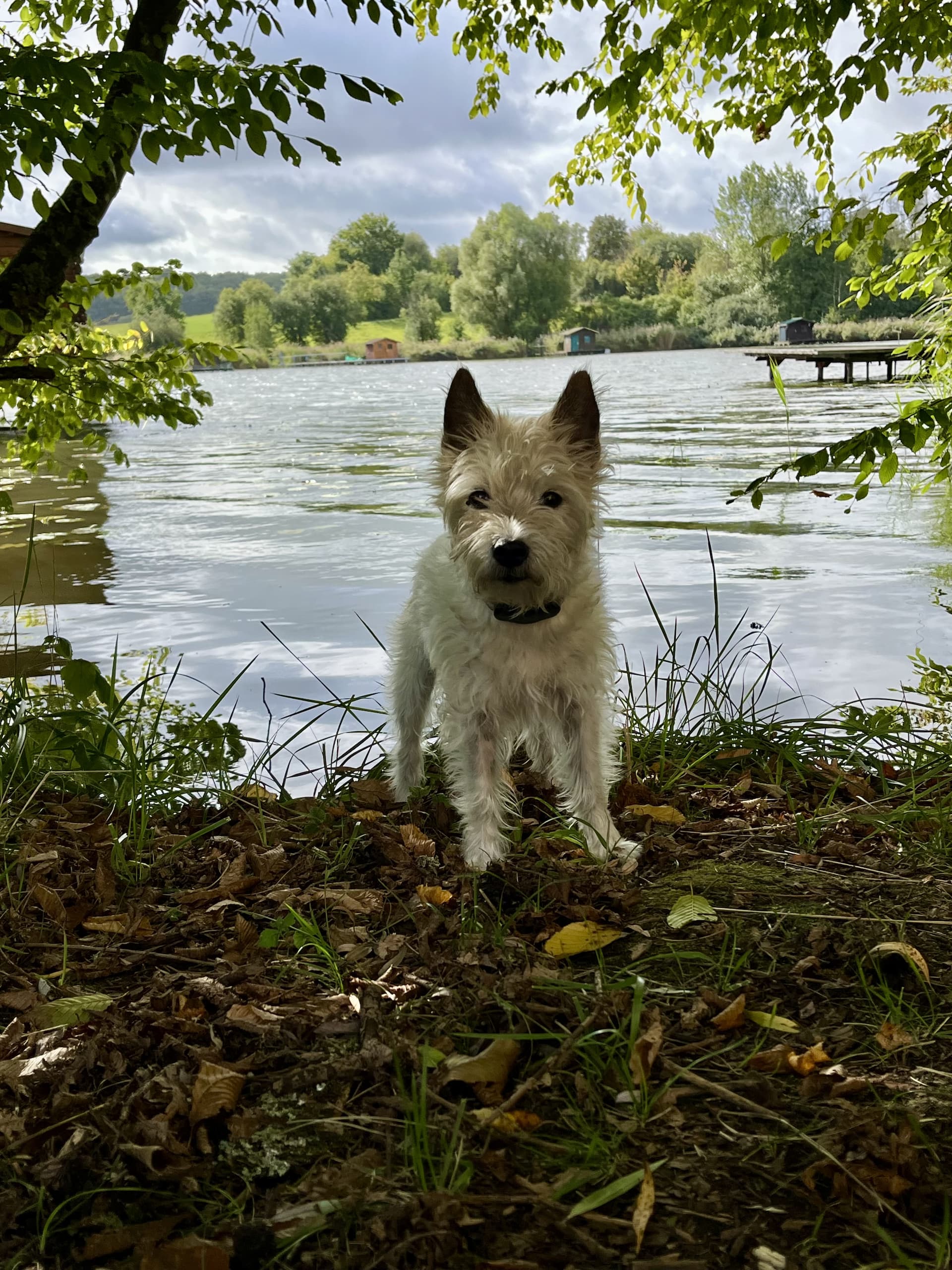 Lou am See