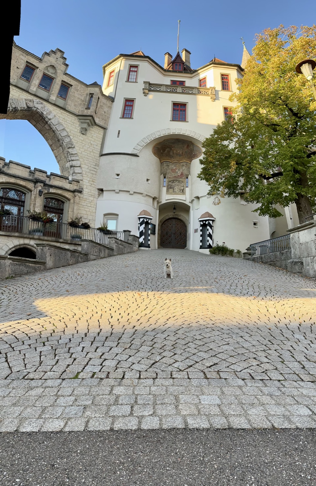Lou vor dem Schloss