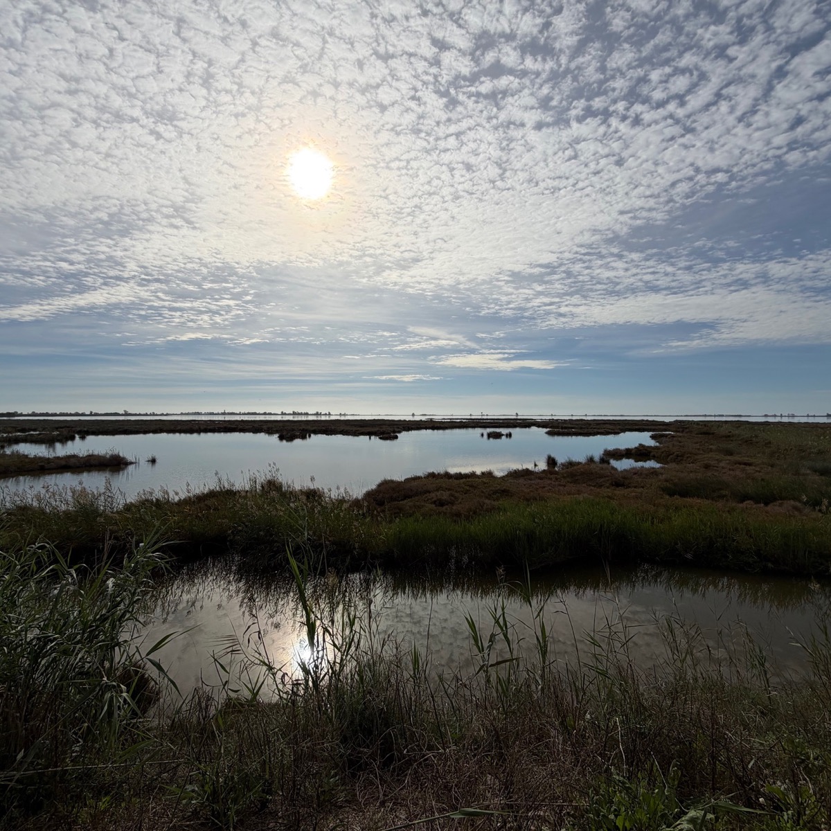 Lagune im Ebrodelta