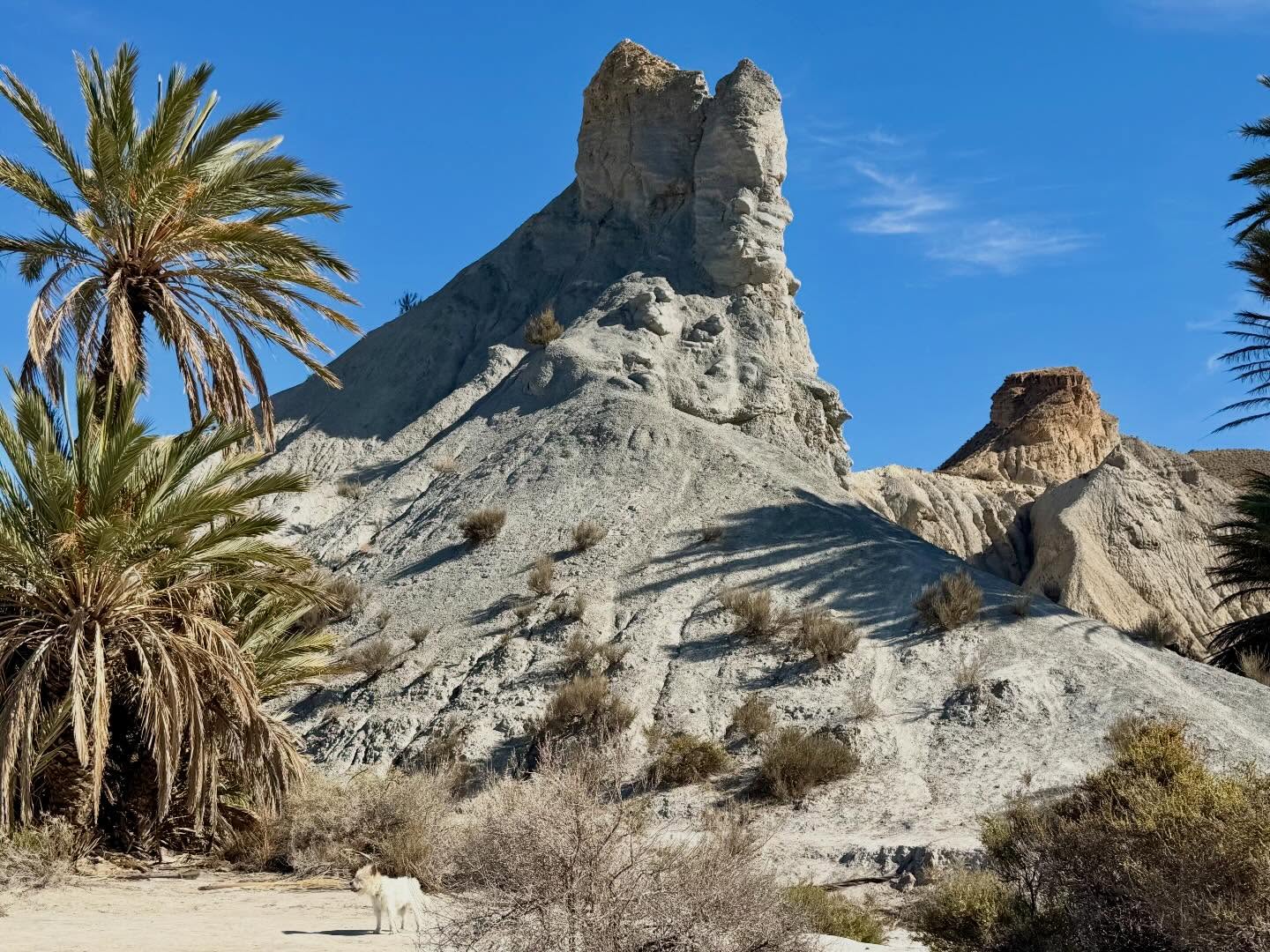 Wüste von Tabernas