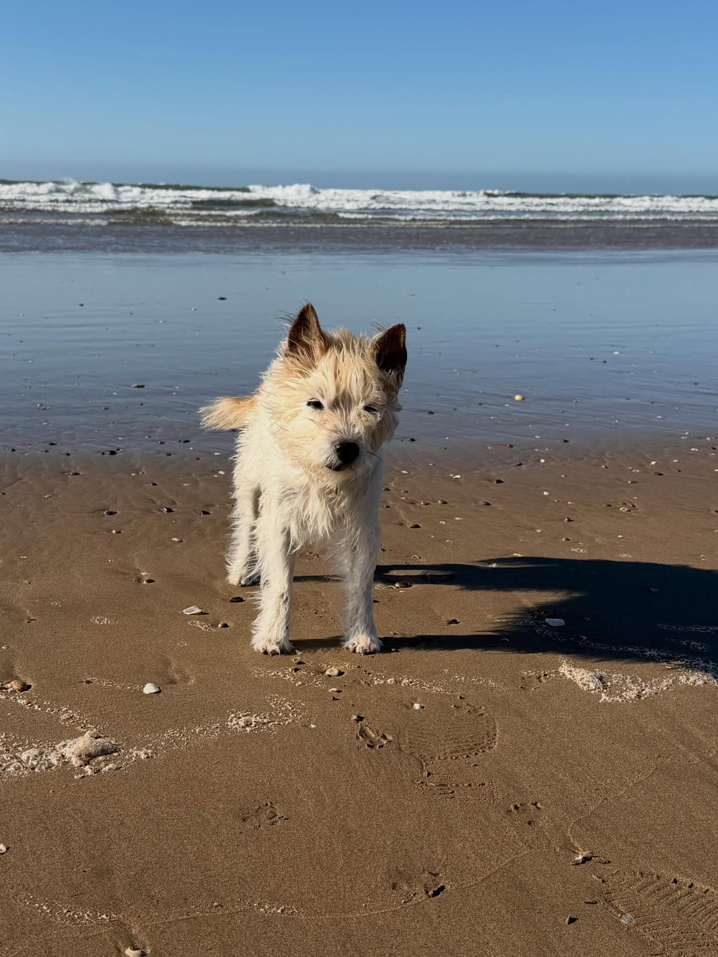 Am Atlantik