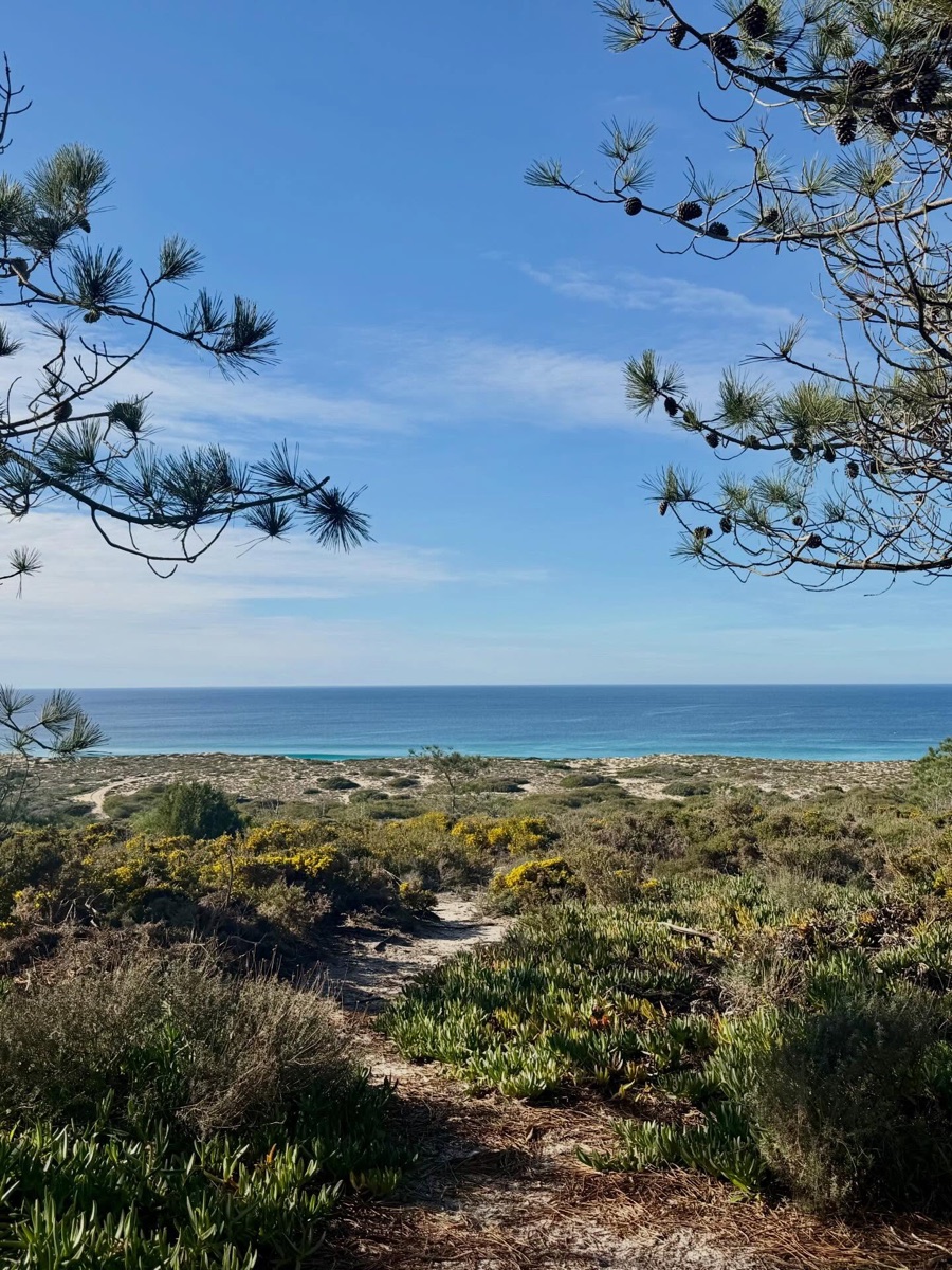Landschaft im Alentejo