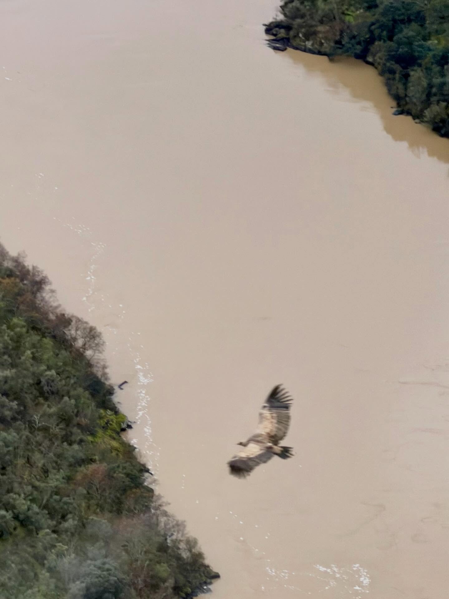 Schlucht im Naturpark Arribes del Duero