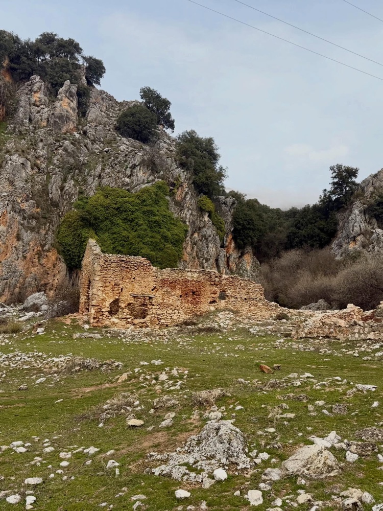 Umgestürzte Bäume im Wald der Sierra de Huétor