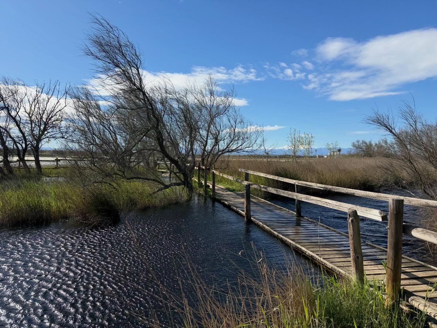 Überflutete Wege im Naturschutzgebiet