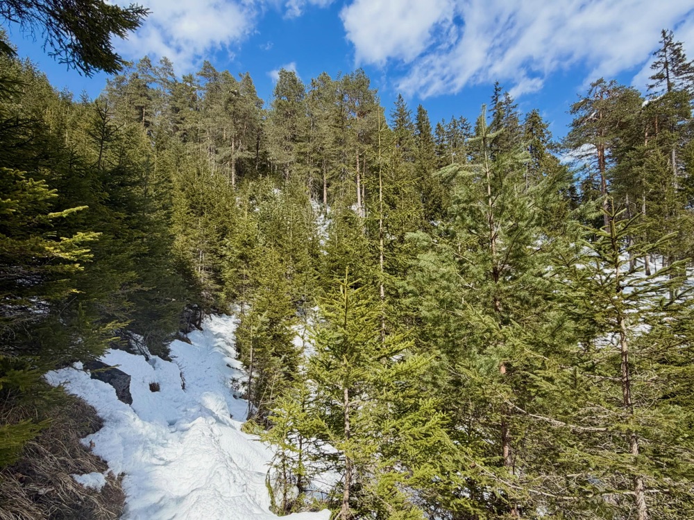 Wanderung zur Alm im Lechtal