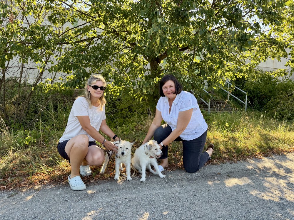 Saskia und eine Freundin knien im Gras, zwischen ihnen zwei weiße Hunde