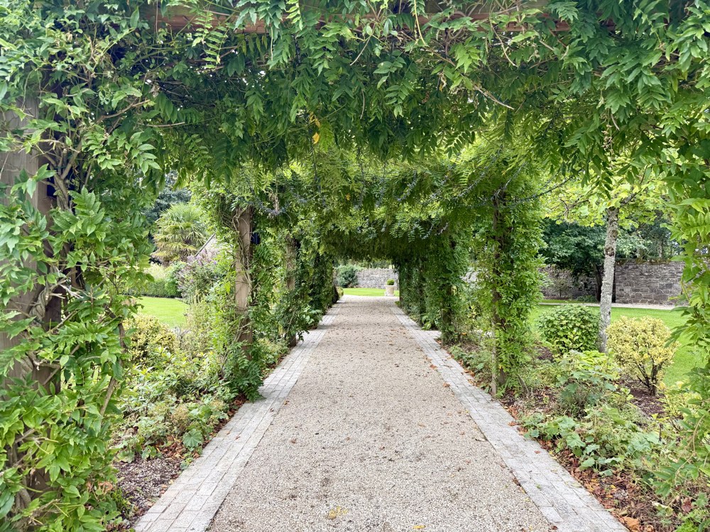 Ein Kiesweg führt durch einen Laubengang aus Wein in einem grünen Garten