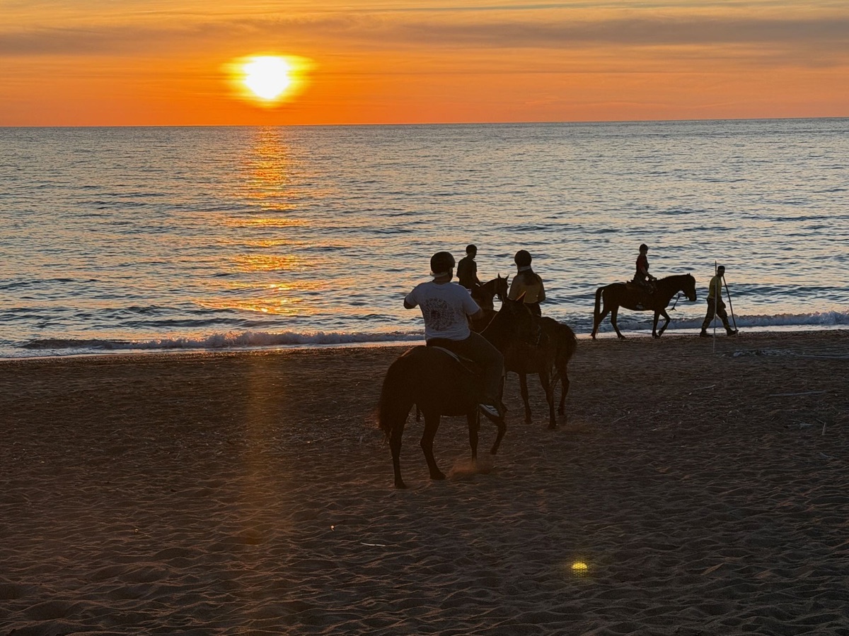 Mehrere Reiter auf Pferden am Strand vor dem Sonnenuntergang