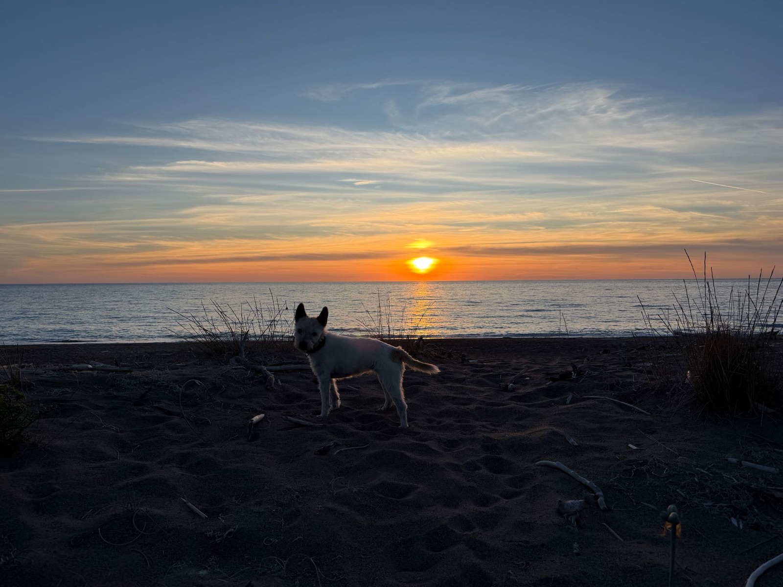 Lou steht im Gegenlicht am dunklen Strand, dahinter die untergehende Sonne über dem Meer