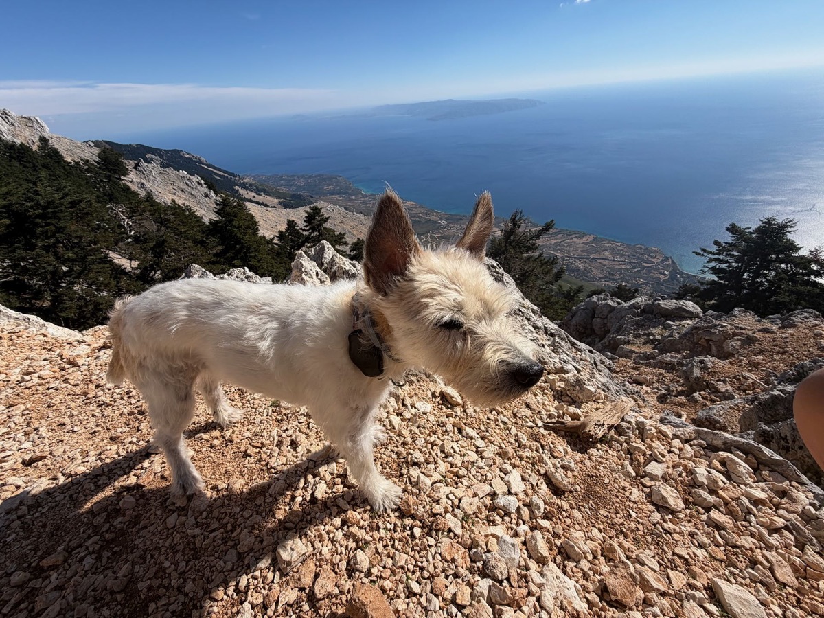 Lou steht auf einem Geröllhang, im Hintergrund Küste und Meer